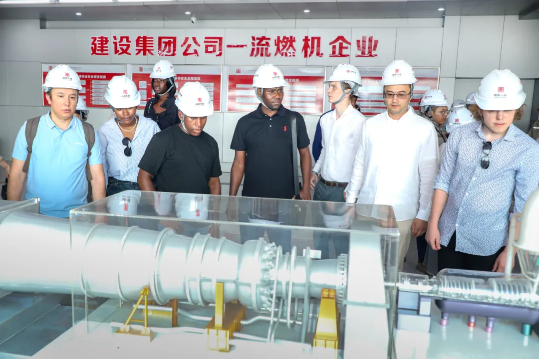 1723597111314049680.png 558efbd40c5498071aa1c33ebd2008f.png