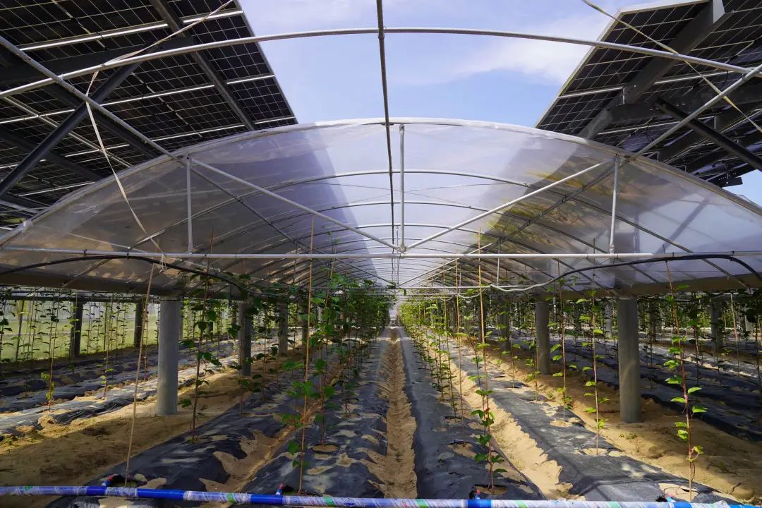 1730096044757038957.jpg U.jpg